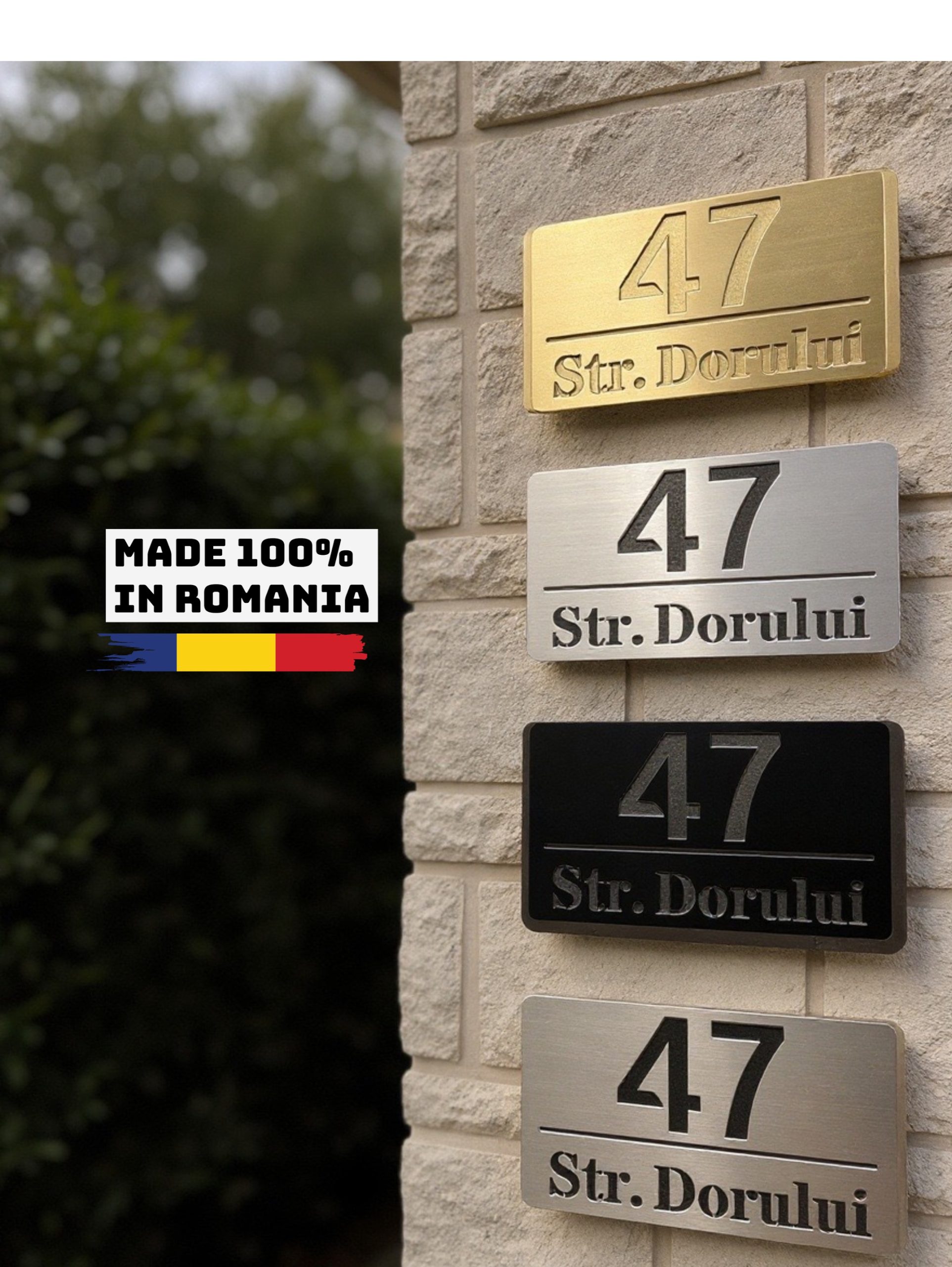 Fără titlu (2)